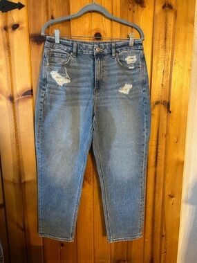 AE High-Rise Curvy Mom Jeans sz 10 short